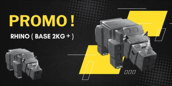Product Showcase