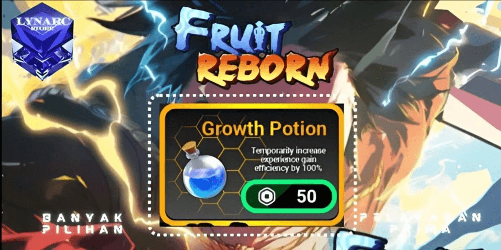 Product Showcase