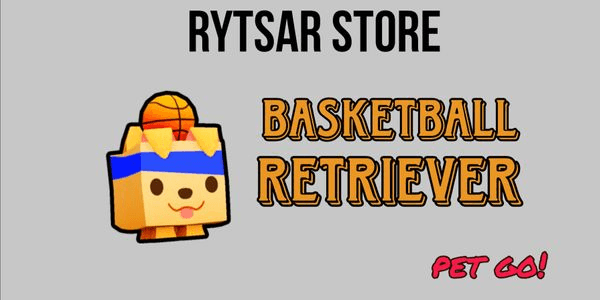 Gambar Product Basketball Retriever
