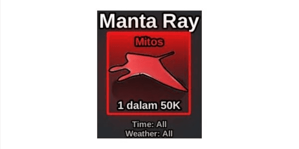 Gambar Product Manta Ray