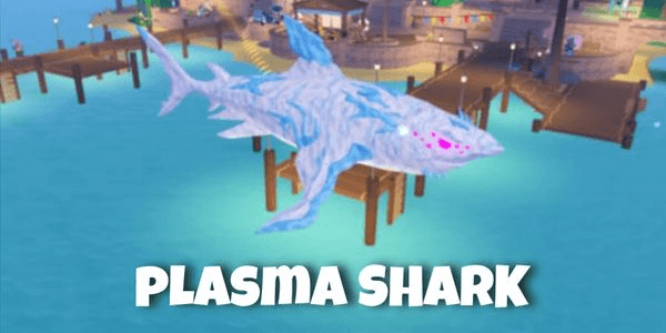 Gambar Product Plasma Shark