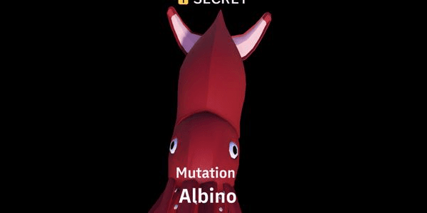 Gambar Product Albino Giant Squid