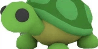 Gambar Product Turtle