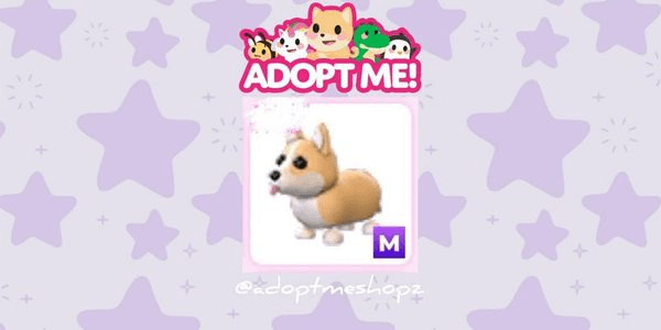 Gambar Product Corgi