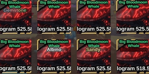 Gambar Product Big Bloodmoon Whale
