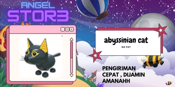 Abyssinian Cat