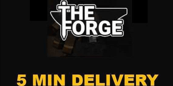 Gambar Product Fast Forge