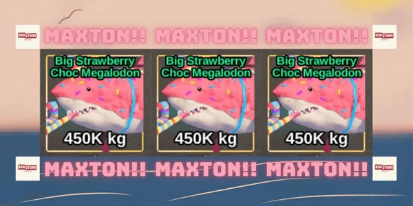 Big Strawberry Choc Megalodon