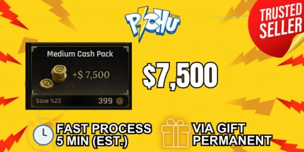 Medium Cash Pack