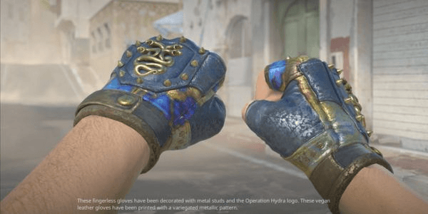 Gambar Product Hydra Gloves | Case Hardened