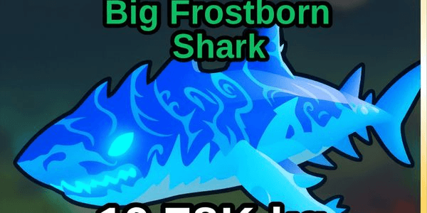 Gambar Product FROSTBORN SHARK