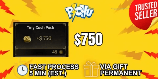 Tiny Cash Pack