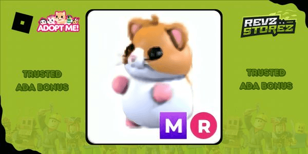 Gambar Product Hamster