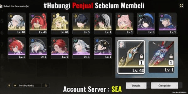 Gambar Product [ SEA ] Starter UL 18 Jinhsi + Sign, Chisa + Sign, Yinlin + Bonus Random Standard - Fast Delivery !BACADESK