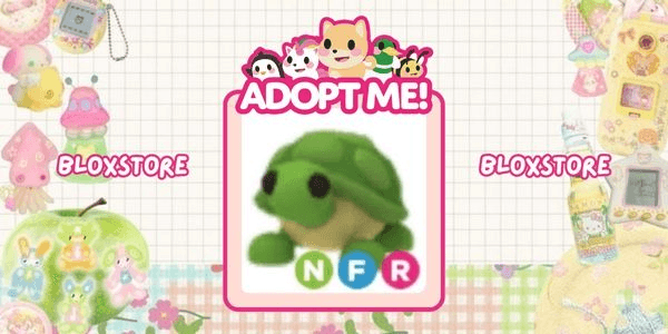 Gambar Product Turtle