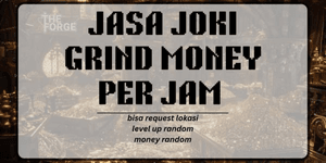Money Grinding Service Per Hour - The Forge