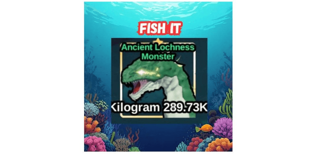 Product Showcase