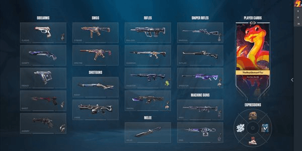 Gambar Product AKUN VALORANT, BERSKIN (BACA DESKRIPSI)