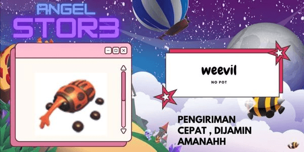 Gambar Product Weevil (Pet)
