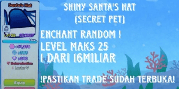 Santa Hat