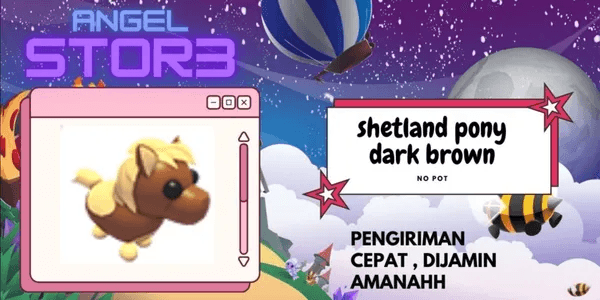 Shetland Pony Dark Brown