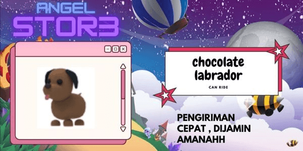 Gambar Product Chocolate Labrador