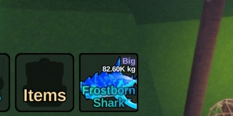 Gambar Product Frostborn Shark 80Kg+
