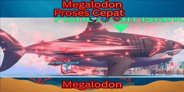 Gambar Product Megalodon