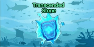 Transcended Stone
