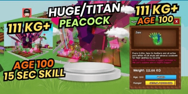 Product Showcase