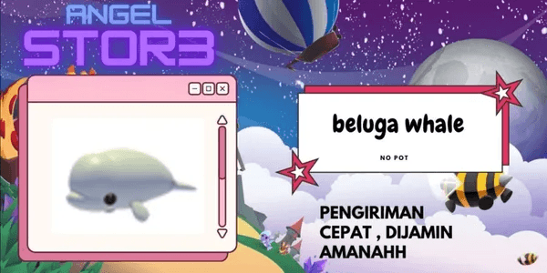 Beluga Whale