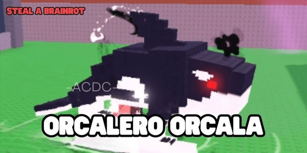 Gambar Product Orcalero Orcala