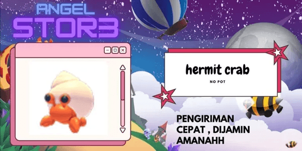 Hermit Crab