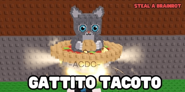 Gambar Product Gattito Tacoto