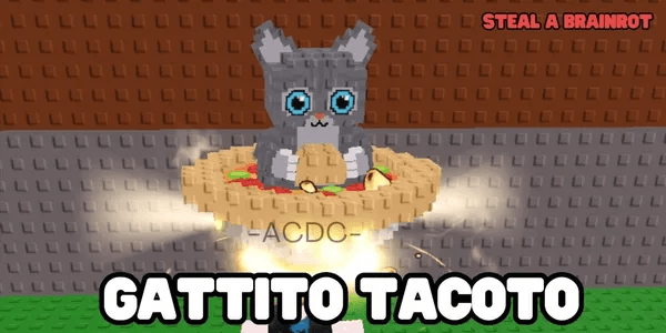 Gattito Tacoto