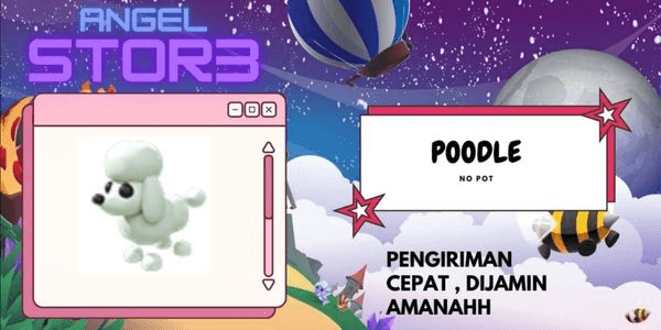 Gambar Product Poodle