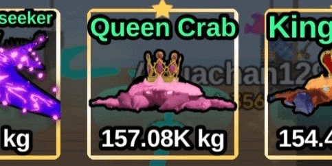 Gambar Product Queen Crab