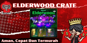 Elderwood