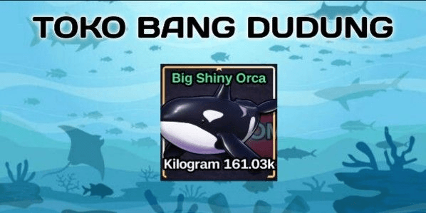 Gambar Product Big Orca