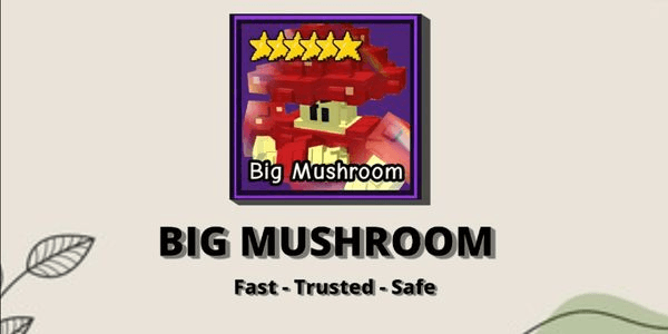 Gambar Product Big Mushroom