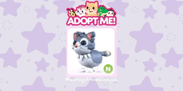 Gambar Product Alley Cat