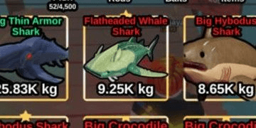 Gambar Product Flatheaded Whale Shark