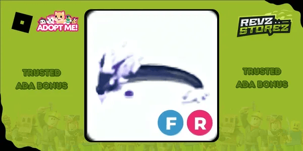 Midnight Dragon
