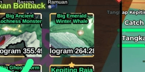 Gambar Product Big Emerald Winter Whale