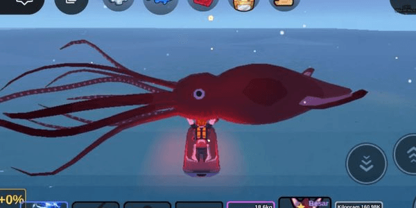 Gambar Product Big Giant Squid