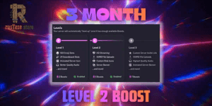 3 Month Level 2 Boost