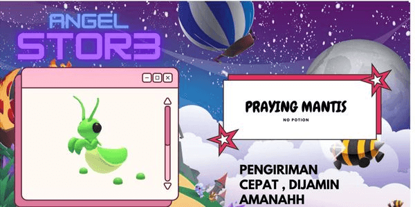 Gambar Product Praying Mantis (Pet)