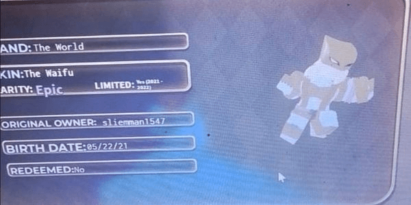 Gambar Product THE WAIFU V1 THE WORLD SKIN (UNOBTAINABLE)