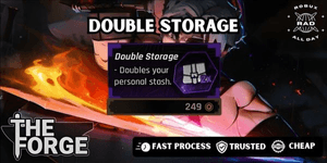 Double Storage