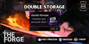 Double Storage